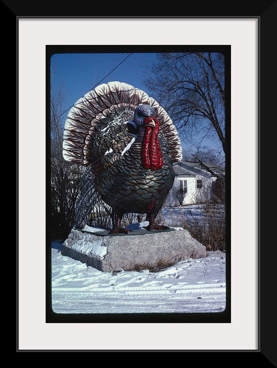 "Turkey at 4 State Poultry Supply, Route 65, Springdale, Arkansas (1984)", John Margolies