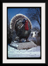 "Turkey at 4 State Poultry Supply, Route 65, Springdale, Arkansas (1984)", John Margolies