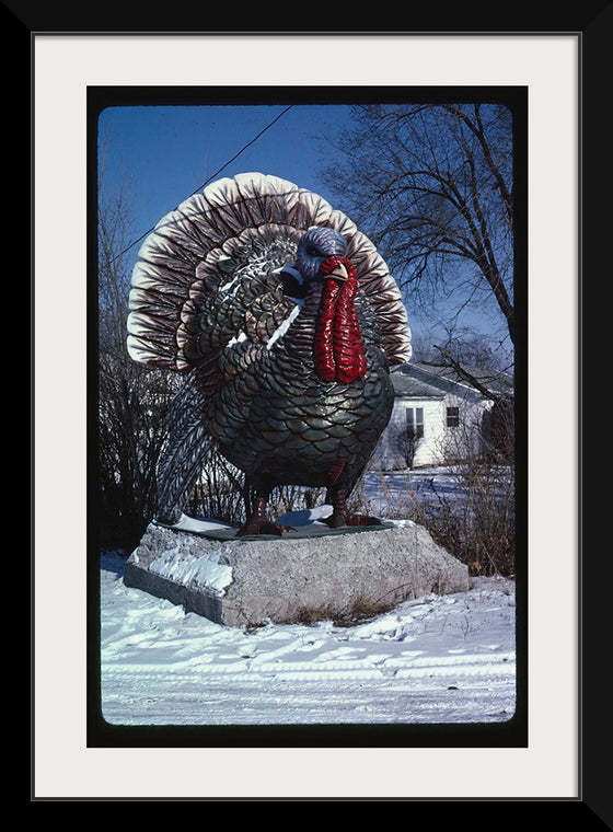 "Turkey at 4 State Poultry Supply, Route 65, Springdale, Arkansas (1984)", John Margolies