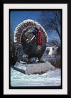 "Turkey at 4 State Poultry Supply, Route 65, Springdale, Arkansas (1984)", John Margolies