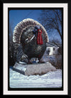 "Turkey at 4 State Poultry Supply, Route 65, Springdale, Arkansas (1984)", John Margolies