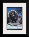 "Turkey at 4 State Poultry Supply, Route 65, Springdale, Arkansas (1984)", John Margolies