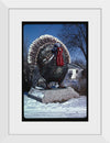 "Turkey at 4 State Poultry Supply, Route 65, Springdale, Arkansas (1984)", John Margolies