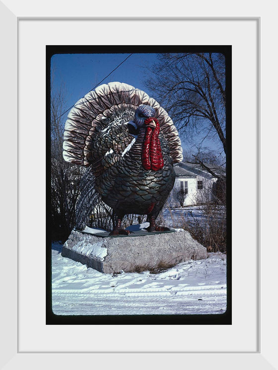 "Turkey at 4 State Poultry Supply, Route 65, Springdale, Arkansas (1984)", John Margolies