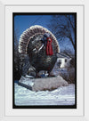 "Turkey at 4 State Poultry Supply, Route 65, Springdale, Arkansas (1984)", John Margolies