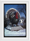 "Turkey at 4 State Poultry Supply, Route 65, Springdale, Arkansas (1984)", John Margolies