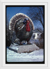 "Turkey at 4 State Poultry Supply, Route 65, Springdale, Arkansas (1984)", John Margolies