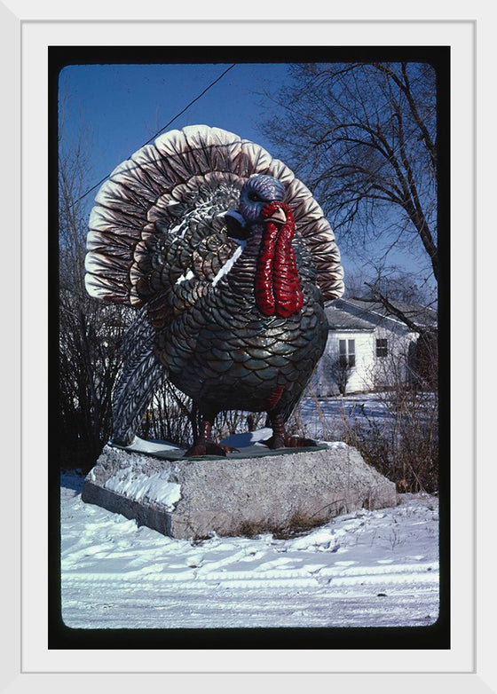 "Turkey at 4 State Poultry Supply, Route 65, Springdale, Arkansas (1984)", John Margolies