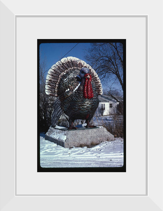 "Turkey at 4 State Poultry Supply, Route 65, Springdale, Arkansas (1984)", John Margolies