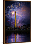 "Washington, D.C. fireworks, Independence Day celebration"