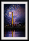 "Washington, D.C. fireworks, Independence Day celebration"