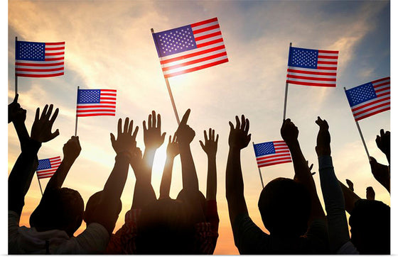 "Silhouettes of People Holding the Flag of USA"