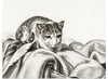 "Cat sitting in a basket (1802)", Jean Bernard