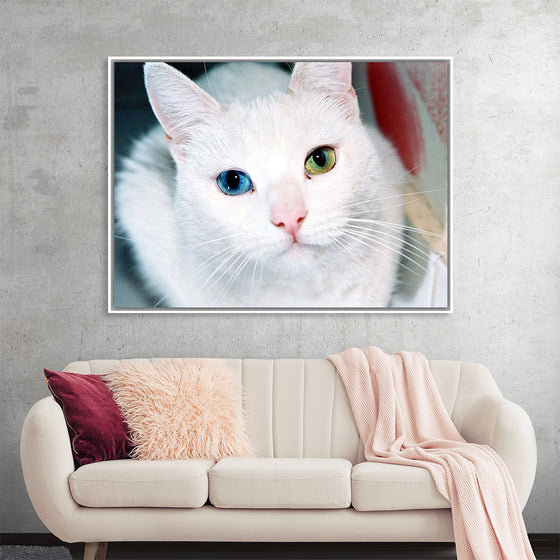 "Close Up of a White Cat with Eyes of Different Colors"