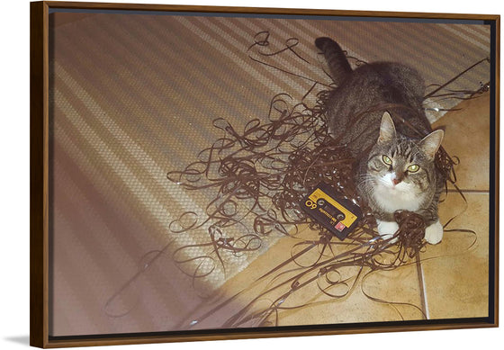 "Cat Sitting on Rolled out Audiotape"