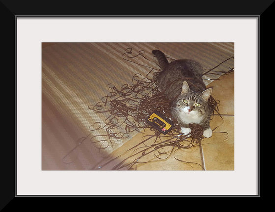 "Cat Sitting on Rolled out Audiotape"