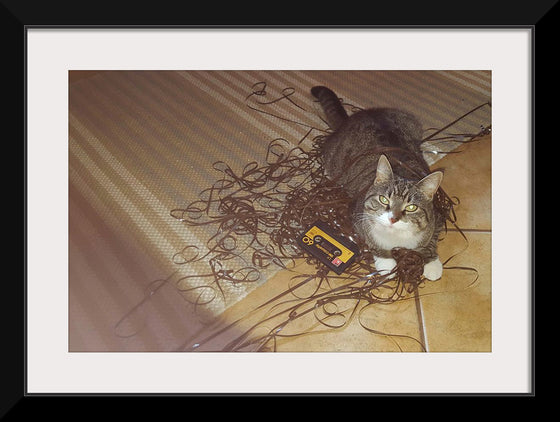 "Cat Sitting on Rolled out Audiotape"