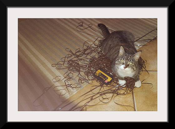 "Cat Sitting on Rolled out Audiotape"