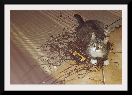 "Cat Sitting on Rolled out Audiotape"