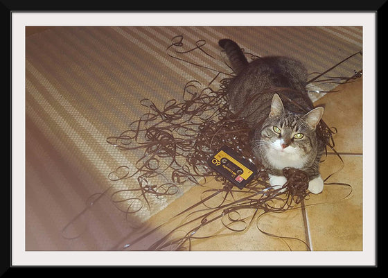 "Cat Sitting on Rolled out Audiotape"