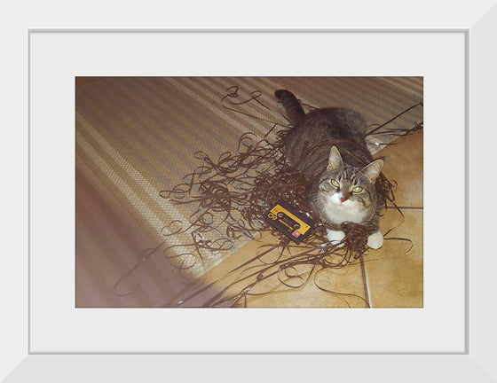 "Cat Sitting on Rolled out Audiotape"