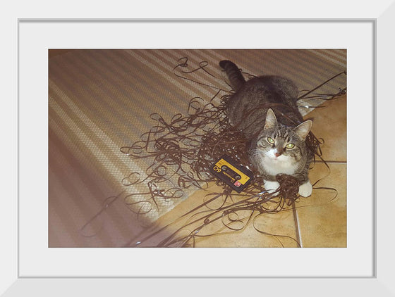 "Cat Sitting on Rolled out Audiotape"