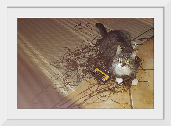 "Cat Sitting on Rolled out Audiotape"