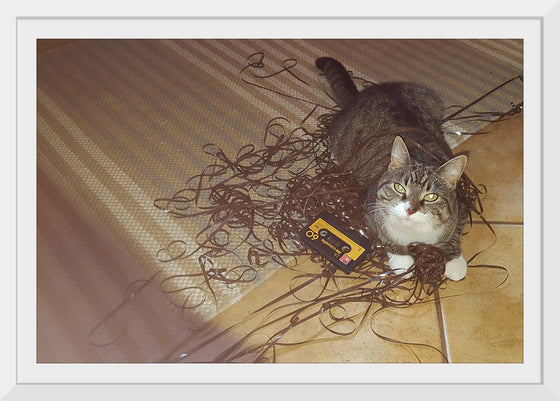 "Cat Sitting on Rolled out Audiotape"