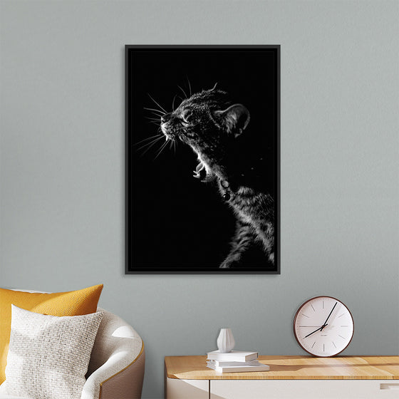 "Furry cat with collar and bell yawning showing sharp teeth against black background"