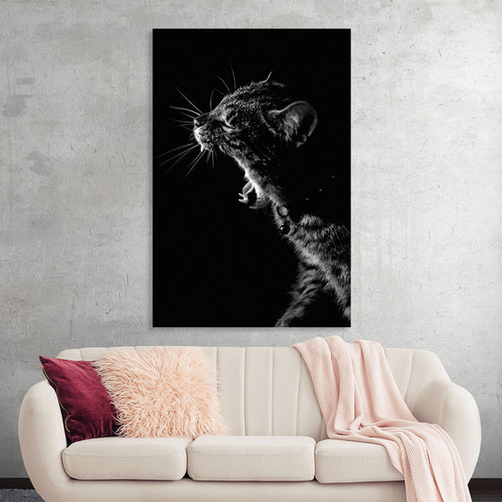 "Furry cat with collar and bell yawning showing sharp teeth against black background"