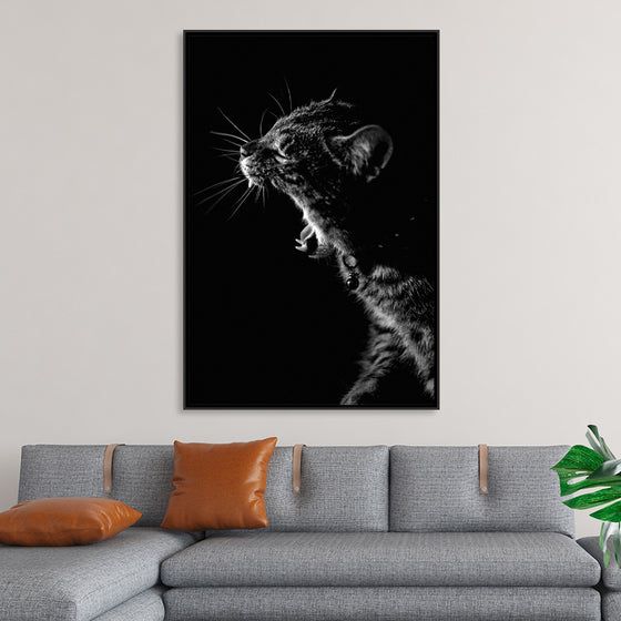 "Furry cat with collar and bell yawning showing sharp teeth against black background"