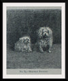 "Maltese Poodles", Mary E.C. Boutell