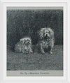 "Maltese Poodles", Mary E.C. Boutell