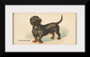 "Dachshund, from the Dogs of the World series for Old Judge Cigarettes", Goodwin & Company