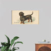 "Dachshund, from the Dogs of the World series for Old Judge Cigarettes", Goodwin & Company