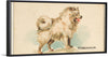 "Pomeranian, from the Dogs of the World series", Goodwin & Company