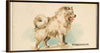 "Pomeranian, from the Dogs of the World series", Goodwin & Company