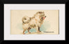 "Pomeranian, from the Dogs of the World series", Goodwin & Company