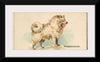 "Pomeranian, from the Dogs of the World series", Goodwin & Company