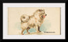 "Pomeranian, from the Dogs of the World series", Goodwin & Company