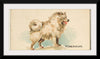 "Pomeranian, from the Dogs of the World series", Goodwin & Company