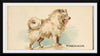 "Pomeranian, from the Dogs of the World series", Goodwin & Company