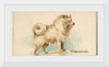 "Pomeranian, from the Dogs of the World series", Goodwin & Company