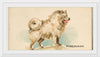 "Pomeranian, from the Dogs of the World series", Goodwin & Company