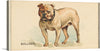 “Bulldog, from the Dogs of the World series for Old Judge Cigarettes” is a beautiful print that would make a great addition to any dog lover’s collection. The print features a realistic illustration of a bulldog with a fierce expression, standing on a light blue background. This print is a perfect gift for anyone who loves bulldogs or vintage advertisements. 