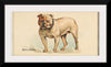 "Bulldog, from the Dogs of the World series for Old Judge Cigarettes", Goodwin & Company