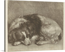  Jan Verkolje's "Slapende Hond, Mogelijk Een Spaniël" (Sleeping Dog, Possibly A Spaniel) is a small, intimate painting that depicts a sleeping dog. The dog, which is likely a spaniel, is curled up on a rug in front of a fireplace.