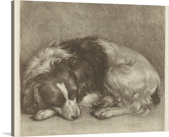 Jan Verkolje's "Slapende Hond, Mogelijk Een Spaniël" (Sleeping Dog, Possibly A Spaniel) is a small, intimate painting that depicts a sleeping dog. The dog, which is likely a spaniel, is curled up on a rug in front of a fireplace.