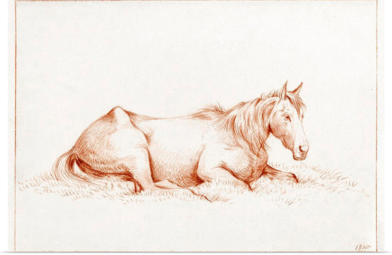"Horse Lying in the Grass (1815)", Jean Bernard