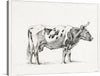 This print, titled “Standing Cow,” is a meticulous pencil sketch that brings to life the serene beauty of a cow amidst a tranquil setting. Every stroke reveals an intricate dance of light and shadow, capturing the cow’s majestic yet gentle presence. The animal’s spotted coat is rendered with exceptional detail, offering a visual symphony of textures that beckon the onlooker to pause and ponder.
